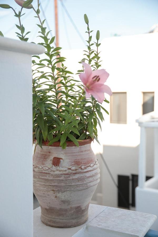 Green Loft Room In Naxos Chora Naxos City Exterior photo